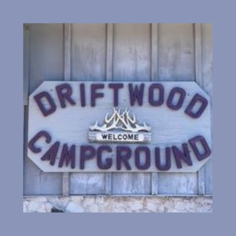 The Driftwood Logo sq 2 768x768