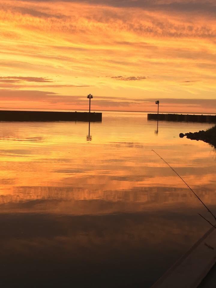 harbor