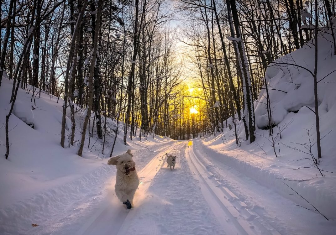 Screenshot_8-1-2026_13555_www.facebook.com